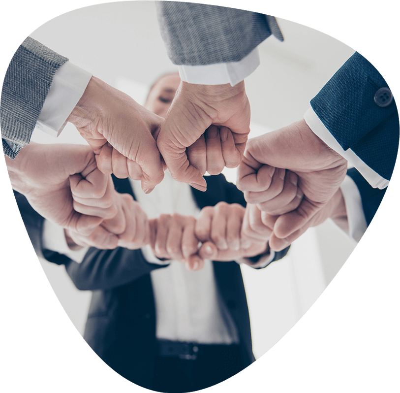 https://alfachasehrhub.com/wp-content/uploads/2019/04/img-team.png